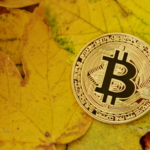invest crypto 51