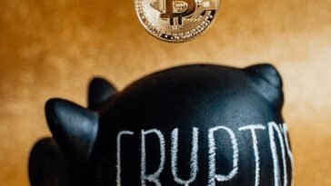 pexels alesia kozik 6780838 1