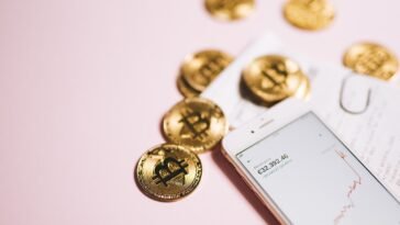 pexels leeloo thefirst 8919543