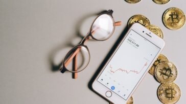 pexels leeloo thefirst 8919541