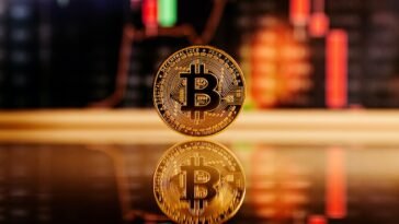 pexels jonathan borba 14354113