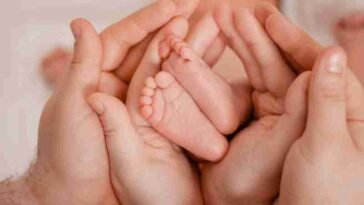 bonus investimentimagazineit 2 1