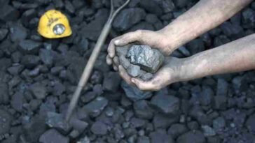 carbone investimentimagazineit