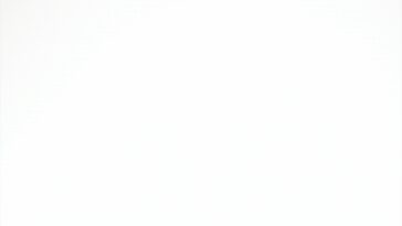 Porsche Holding Calo Utili e Riduzione Debito 2024 6734b270b5a80