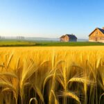 baltic terra neuer note issuer auf debitum fur attraktive investitionsmoglichkeiten 1766446903